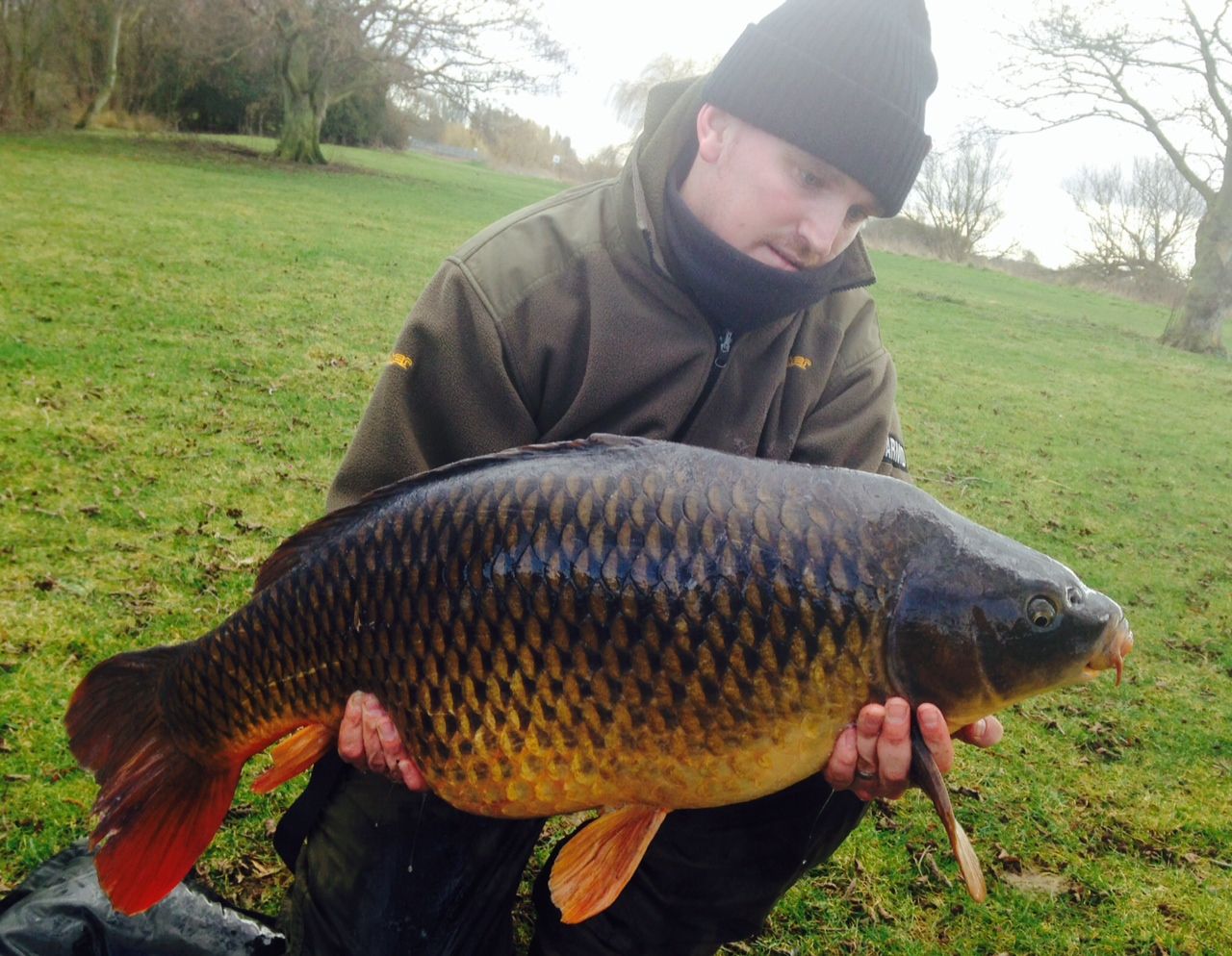 19th Feb Andy Harrison 36lb Kingfisher photo 3600.jpg