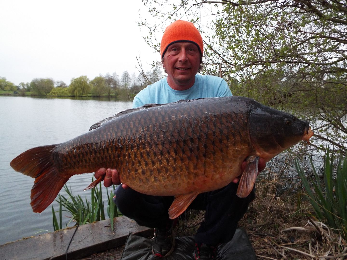 26th April Paul Talbot 36lb 08oz from Kingfisher photo 3608_1.jpg