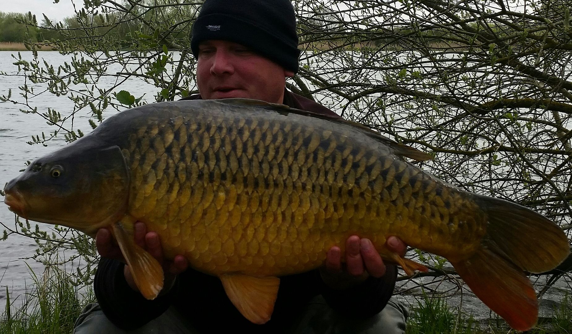 4th May Dave Morgan 26lb 03 oz from Mallard 1 of 9 carp photo 2603.jpg