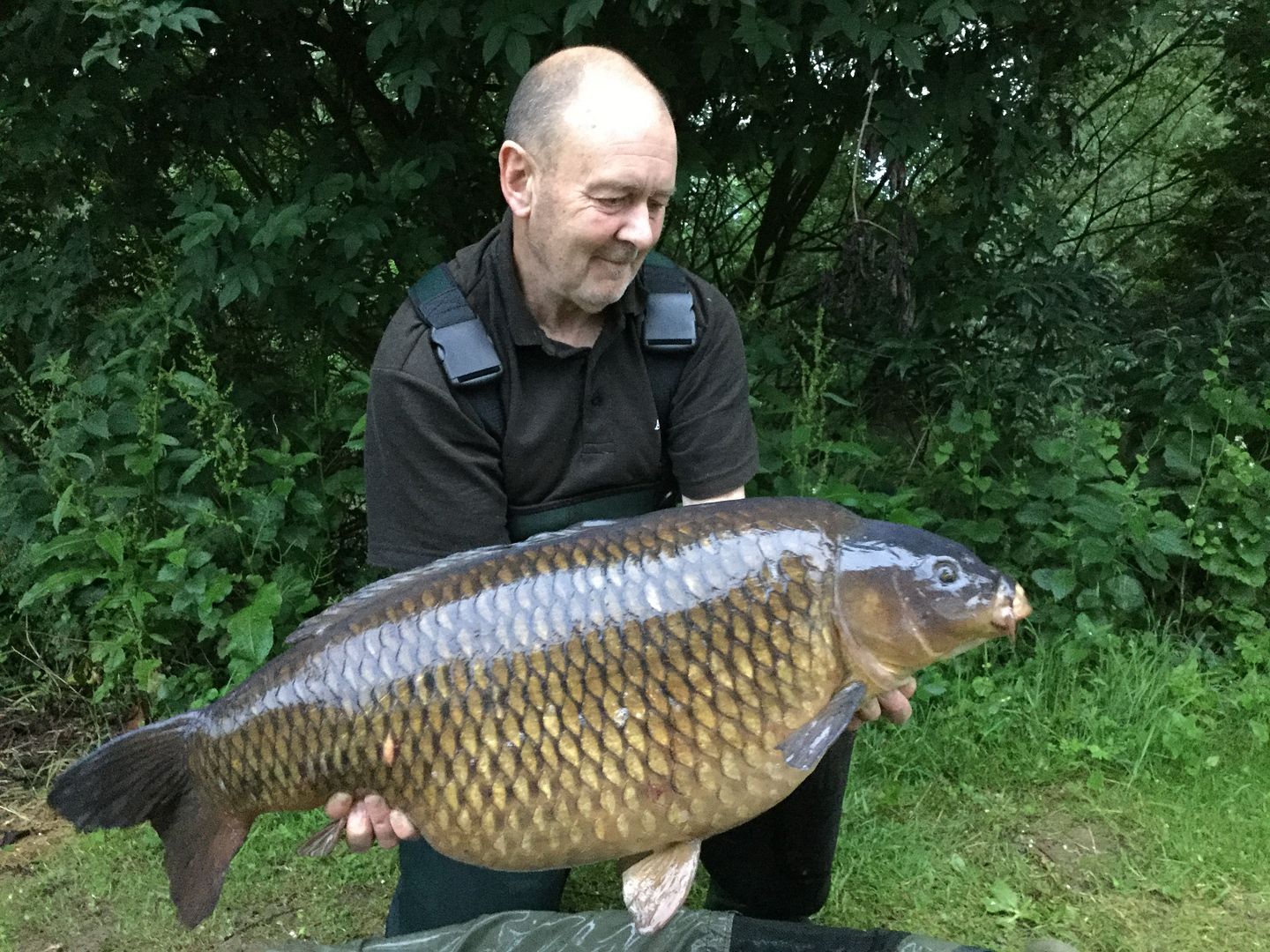 23rd June Steve Wright 36lb 06oz from Swan photo 3606.jpg