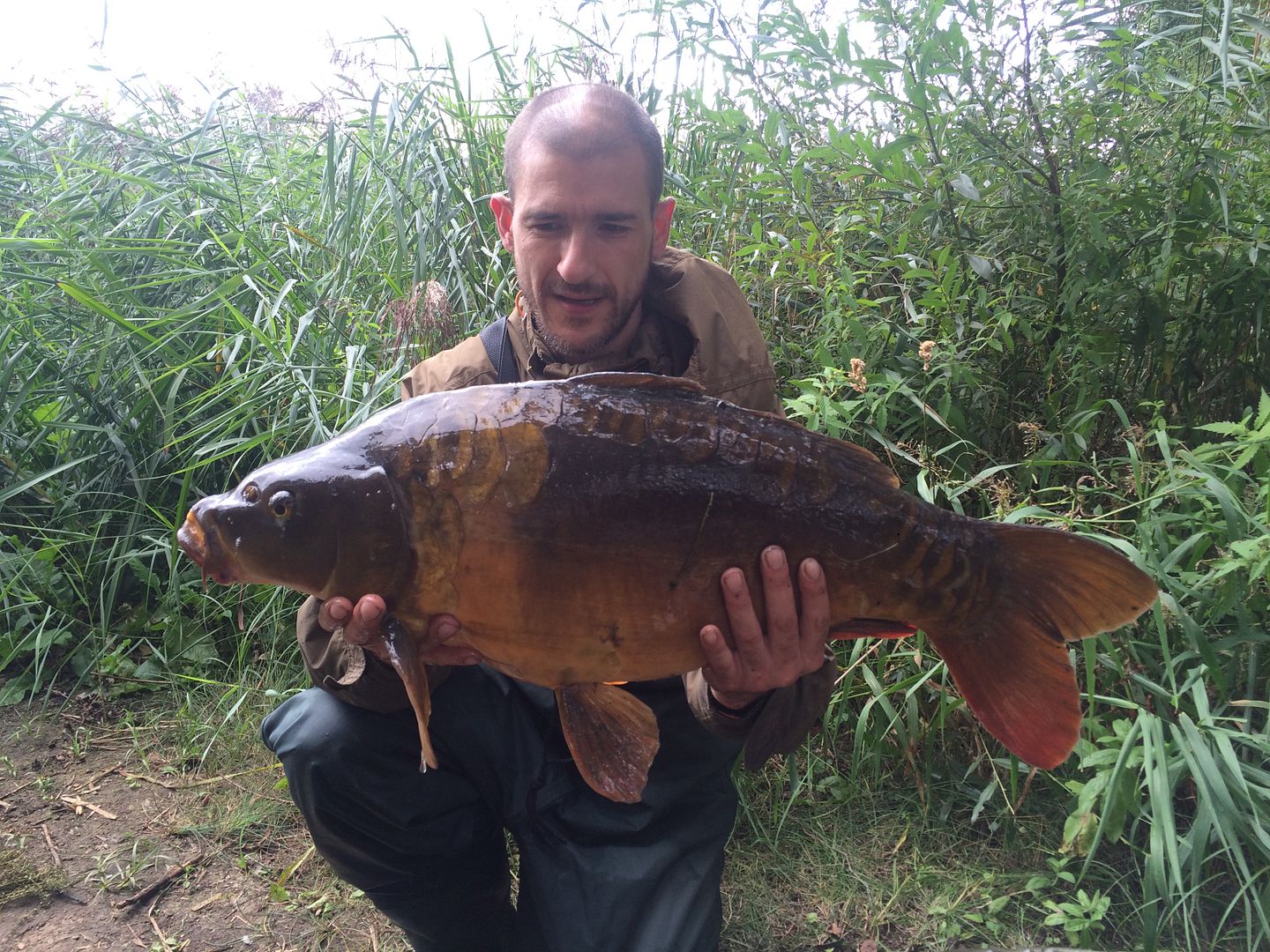 7th September John Piercy 18lb from Mallard photo 1800.jpg