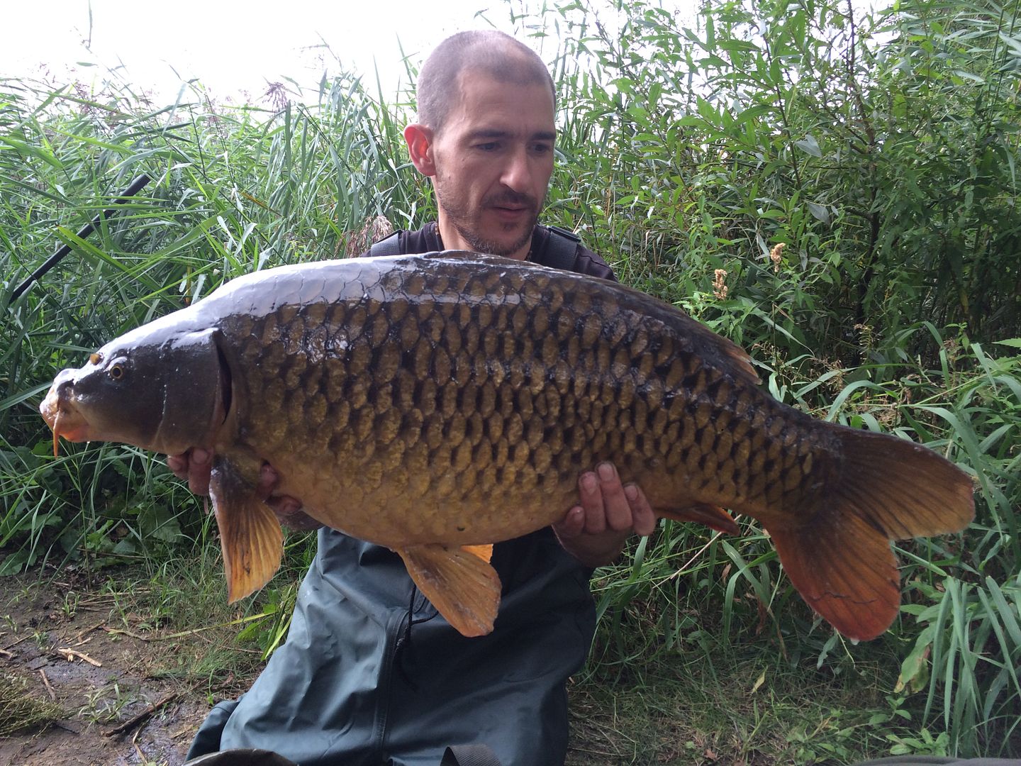 7th September John Piercy 24lb from Mallard photo 2400.jpg