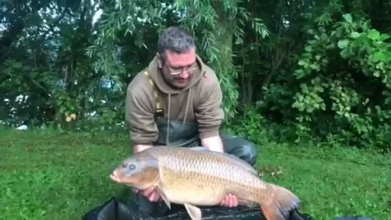 Jason Holden Kingfisher video Video.mp4