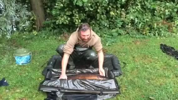 Jason Holden Kingfisher video Video_1.mp4
