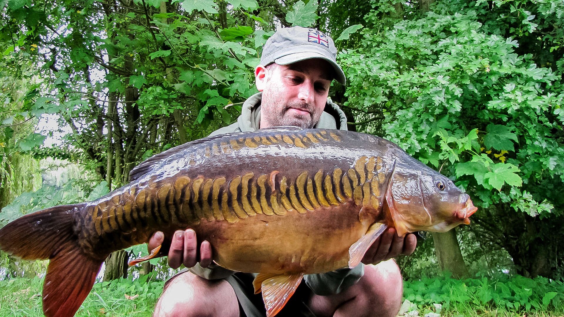 August Dan Eley with a very pretty mid double from Bluebell photo mid double.jpg