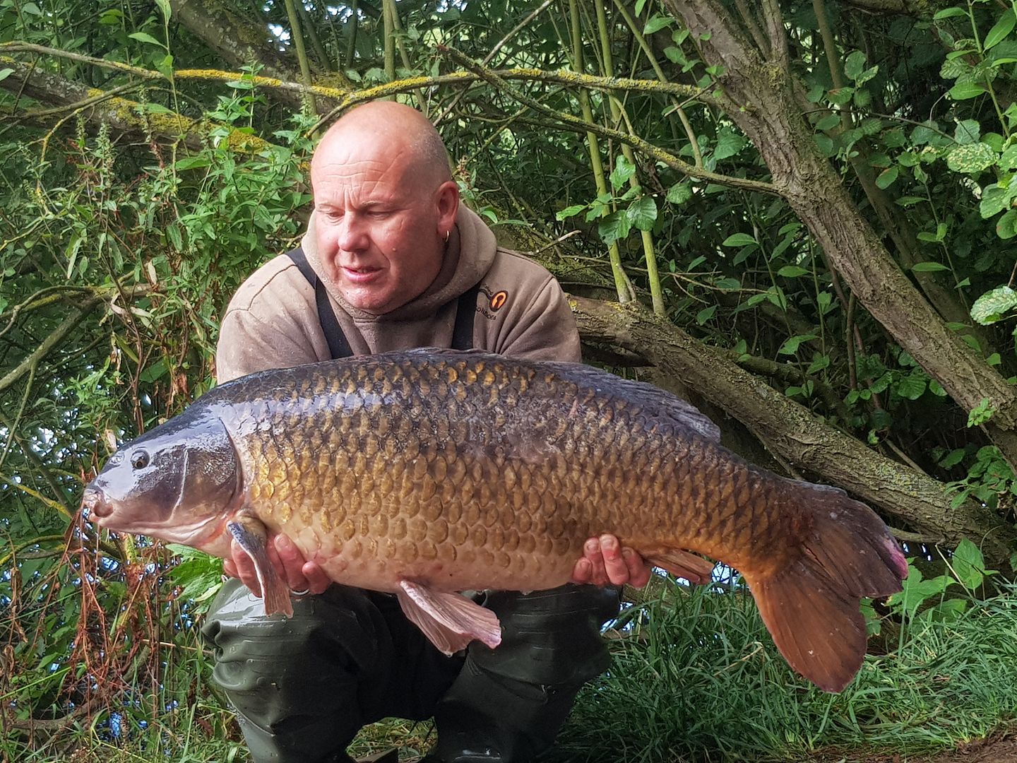 14th August Gary Denniss 31lb 04oz from Kingfisher photo 3104.jpg