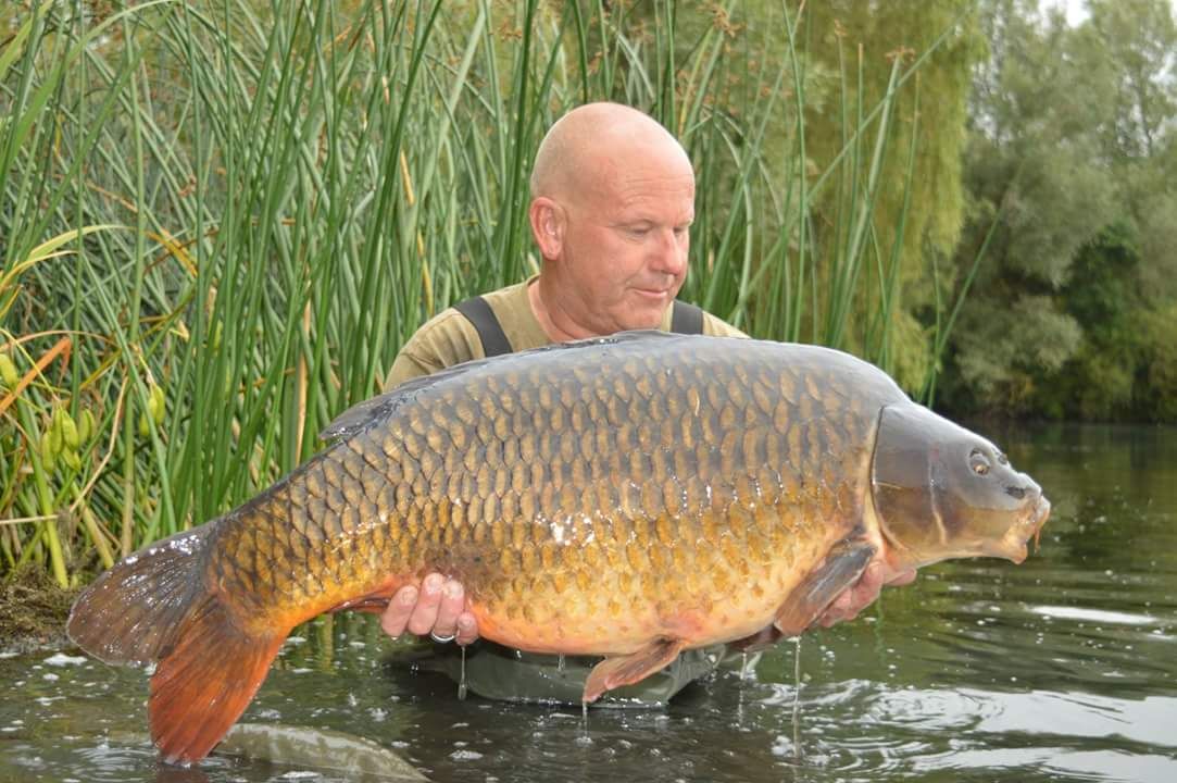 13th August Gary Denniss 37lb 08oz from Kingfisher photo 3708.jpg