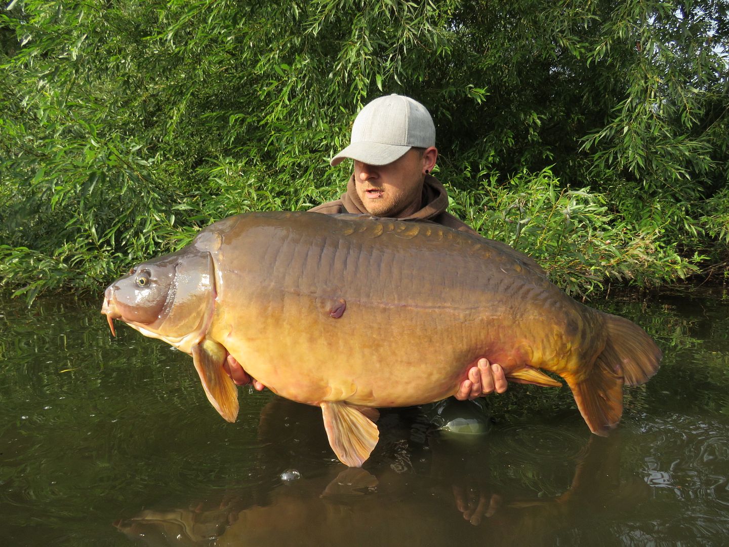 27th August Adi Oswell 54lb 07oz from Swan photo 7EE3B197-EA56-461A-A791-57A09C4E7279.jpeg