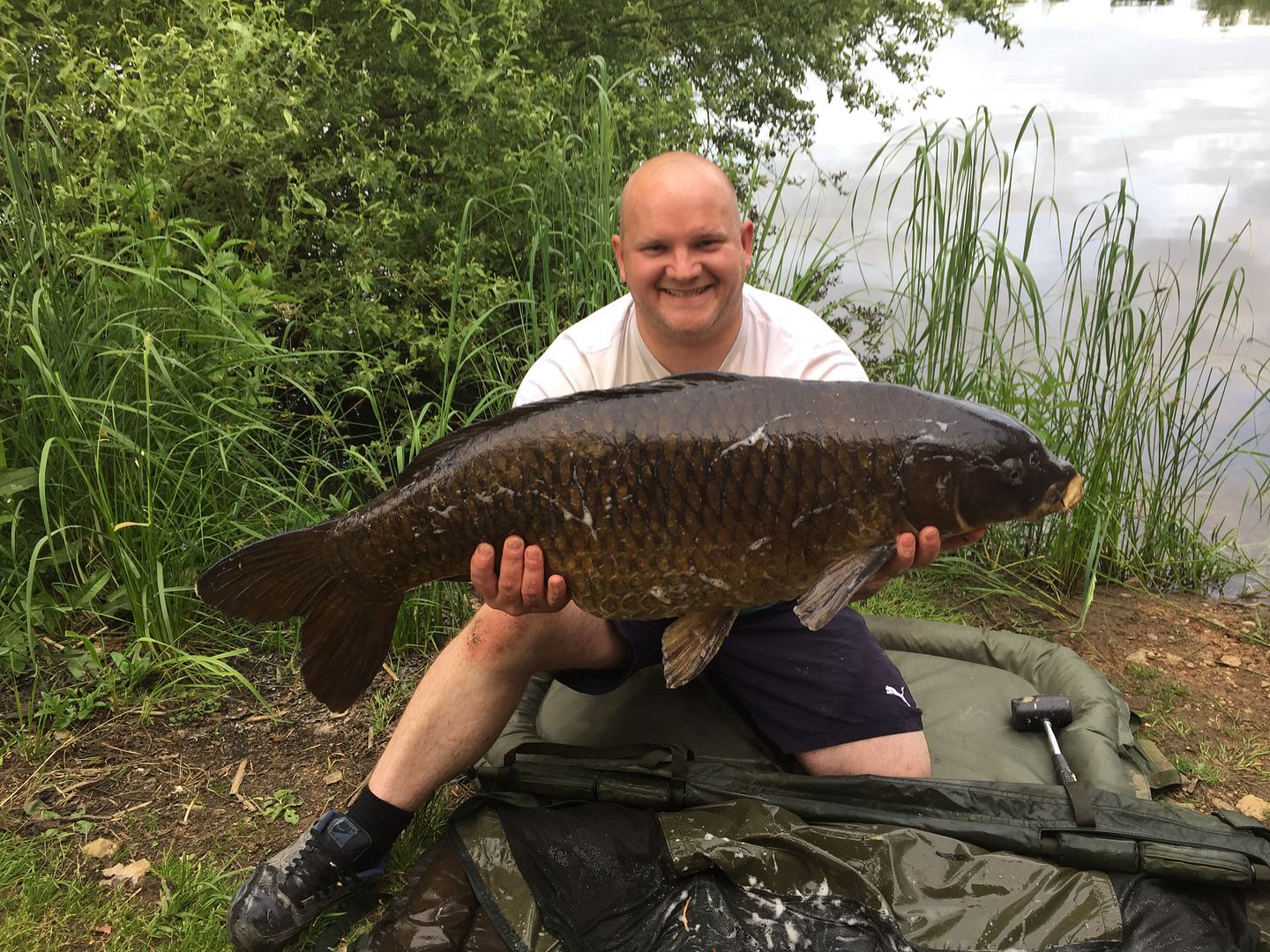 16th June Andrew Dolan 34lb 08oz from Bluebell photo 3408_1.jpg