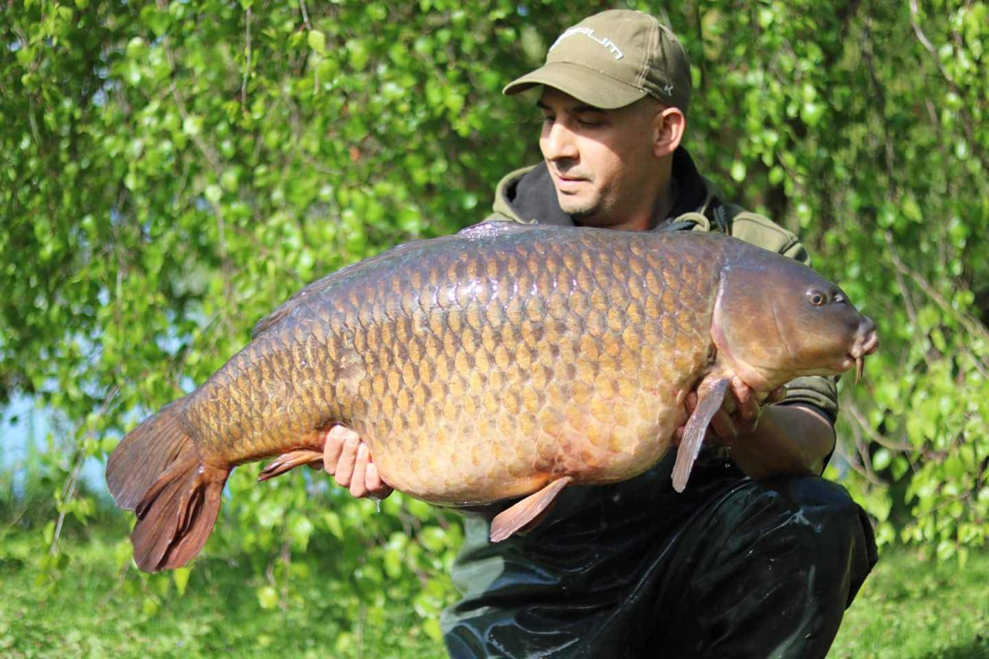 3rd May Jon Gill 42lb 12oz from Kingfisher photo 4212.jpg