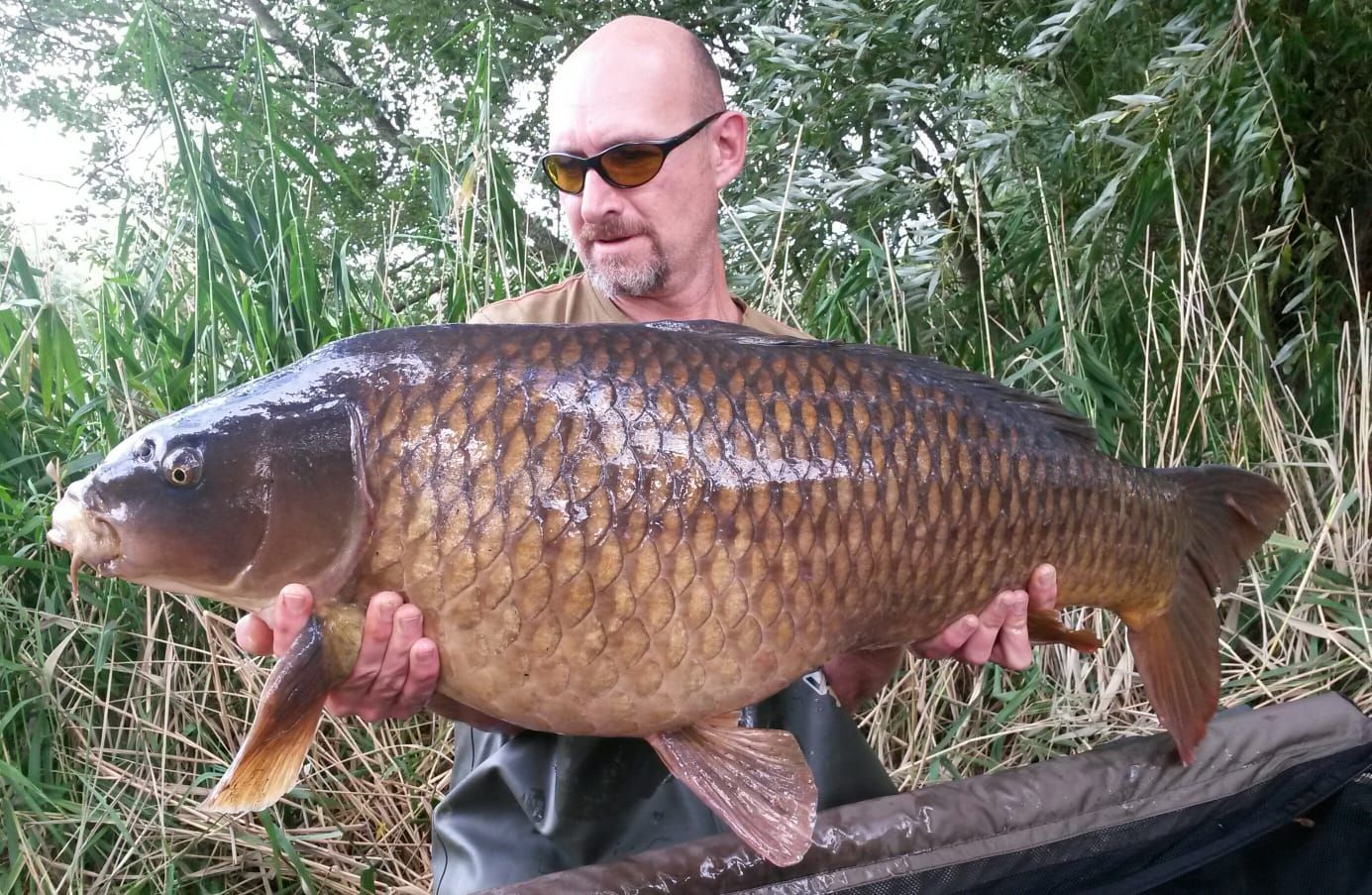 17th September Scott Burton 43lb 02oz from Swan photo 4302.jpg