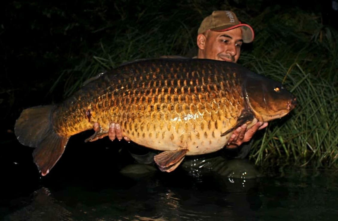 19th August Jon Gill 44lb from Kingfisher photo 4400.jpeg