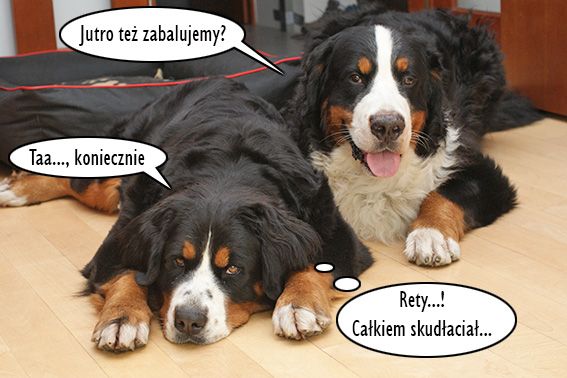 Obrazek