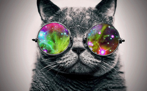 Space Cat photo 1106-1.gif