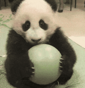  photo Funny-Gifs-Of-The-Day-Vol-121-13-GIFS-7.gif