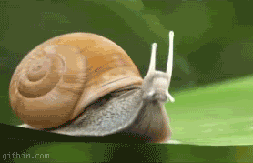 [Imagen: Snail-With-a-Jetpack_o_93346.gif]