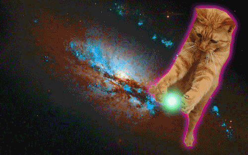 space cats photo 1412122121-1.gif
