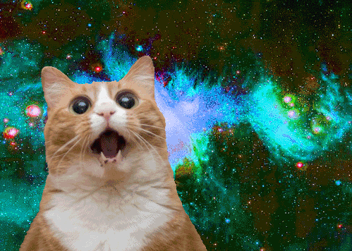 space cats photo 265636_0019480016-cat_gif_zps096a82bb.gif