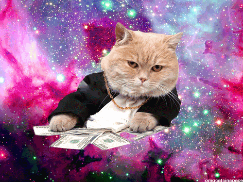 space cats photo 35434534433543535345.gif