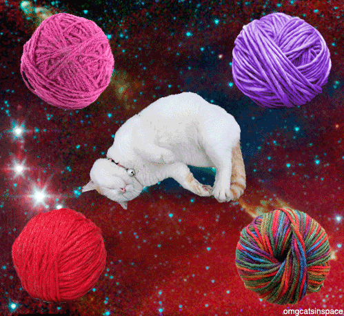 space cats photo 46546546456546456466546.gif