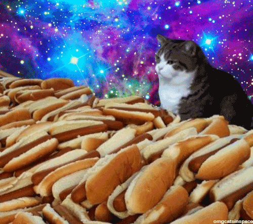 space cats photo 564656546546546.gif