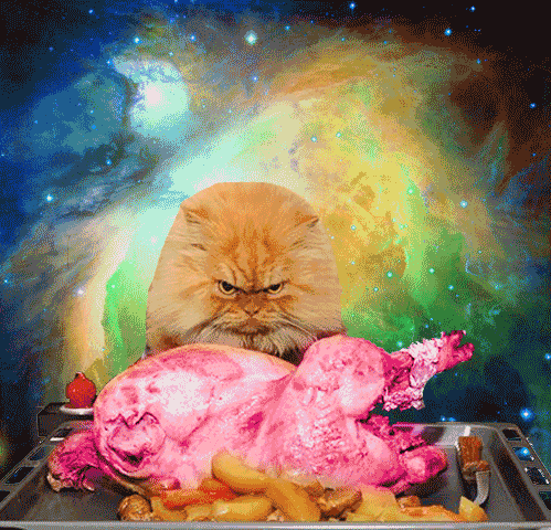 space cats photo 56465665465646.gif