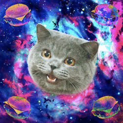 space cats photo 65464645645.gif