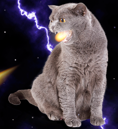 Fire Breathing space cats photo firebreathingspacecat.gif