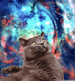 space cats photo n654654654456.gif