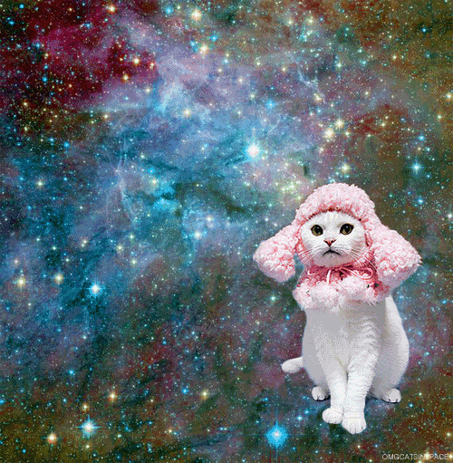 space cats photo pinkspacecat.gif
