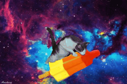 space cats photo space-cat.gif