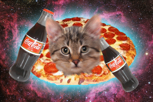 spacecatparty.gif