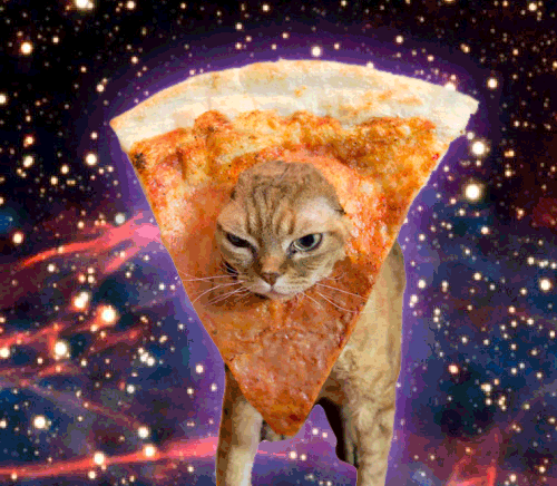 space cats photo spacepizzacat.gif