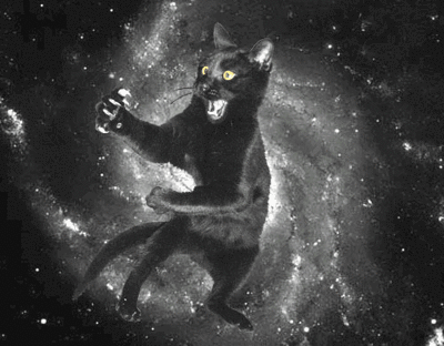 space cats photo spacescaredycat.gif