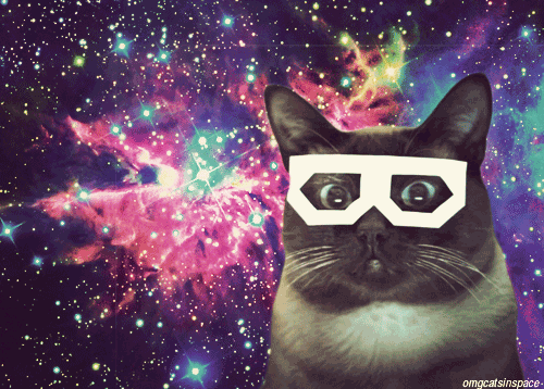 space cats photo spcecat-in-glasses.gif