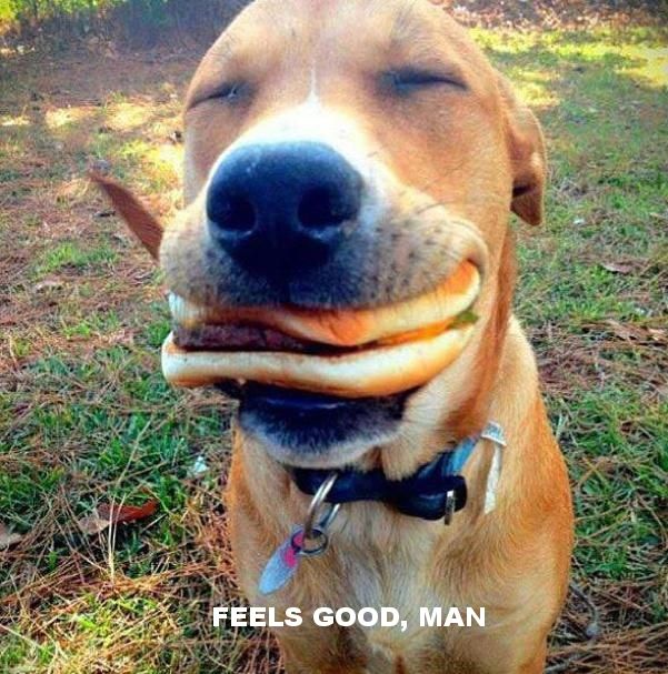 Hot Dog Hamburger photo hotdog.jpg