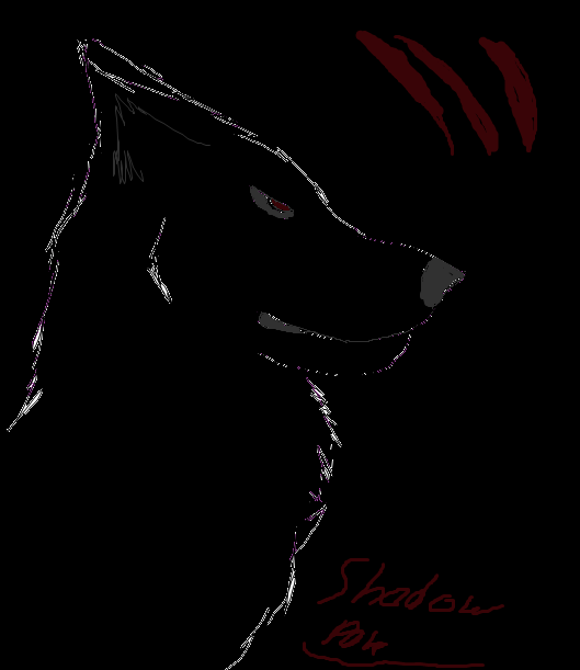 http://i1276.photobucket.com/albums/y463/Shadowpaw12/FanartforXxxkatiexxxShadowclaw_zps1d0f8f4d.png