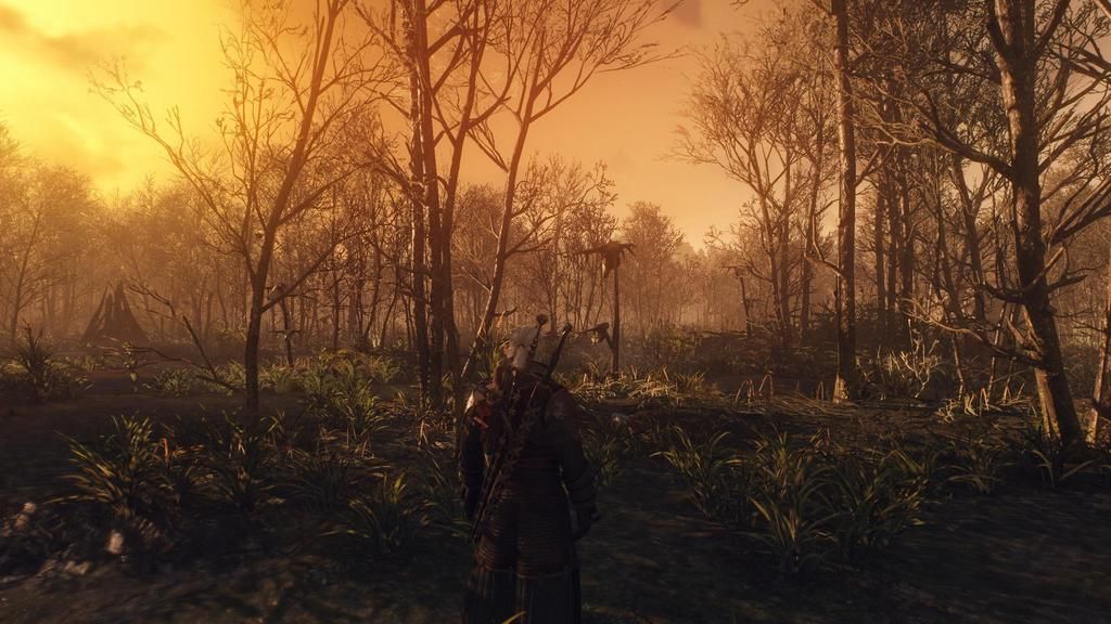 witcher3%202015-08-25%2015-49-03-61_zpsl