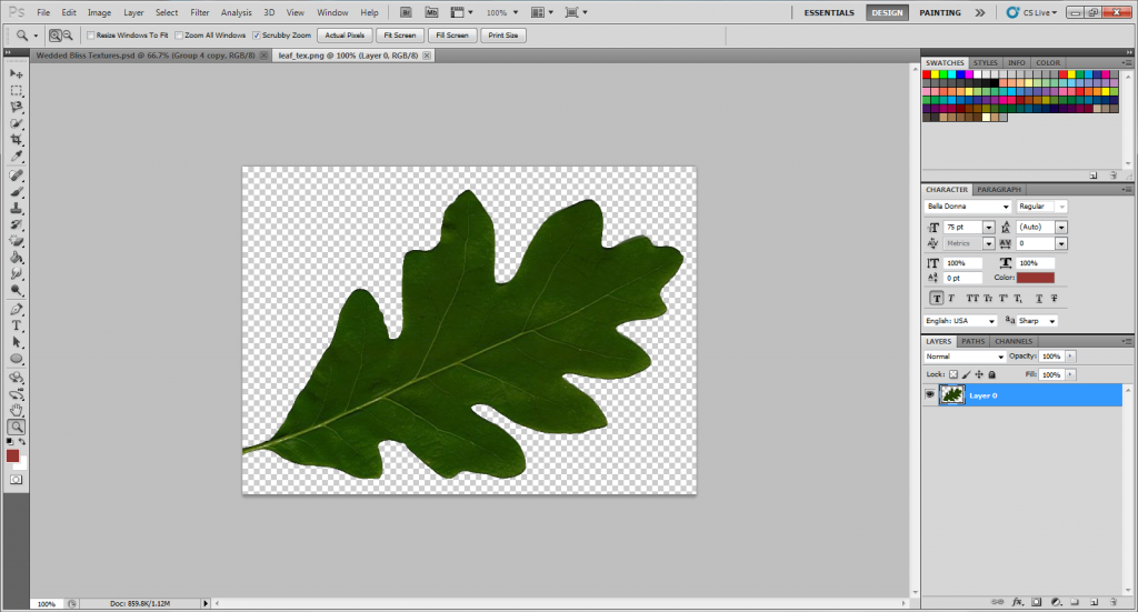 Leaf_zps38b785ff.png