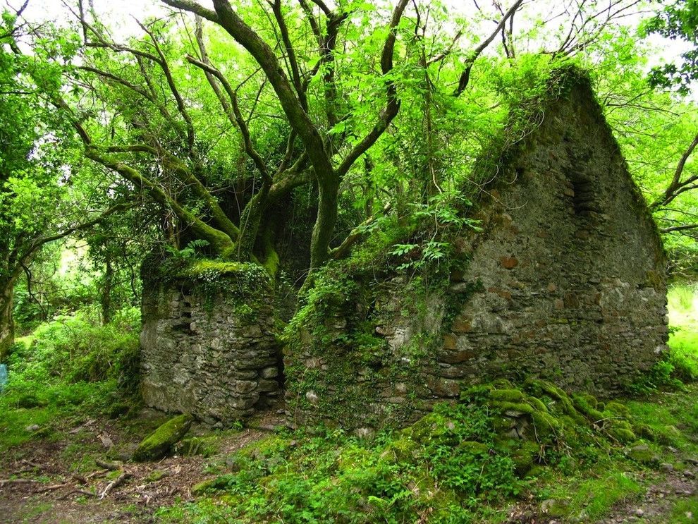 NstcMtq zps261e6b48 - The Most Beautiful Abandoned Places In The World: