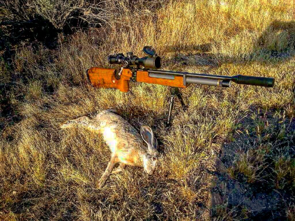 Jackrabbit hunting safari(3 day) SCH OUTDOORS
