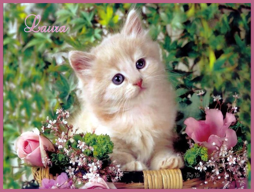  photo 10_zpse093df54.jpg