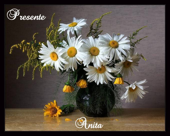  photo aaaaaaaaa44-Copy6_zps197b29ba.jpg