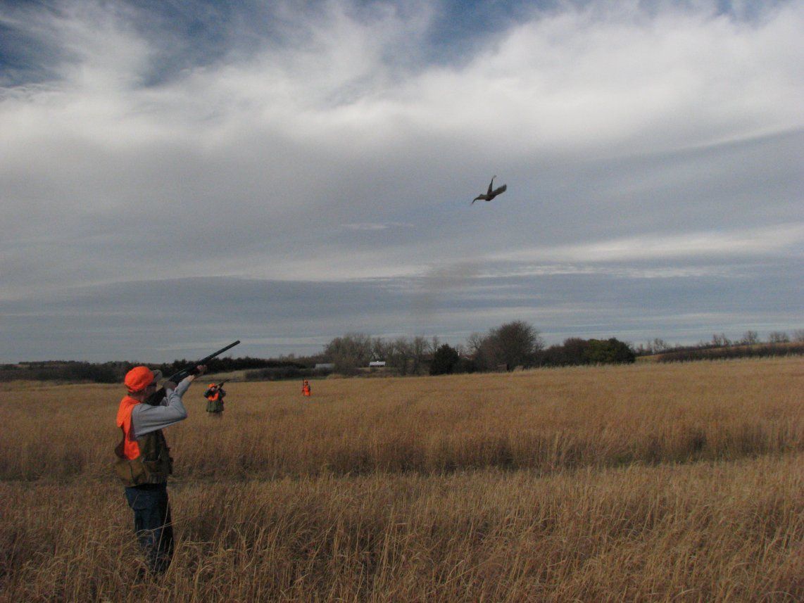 Bird Hunting service