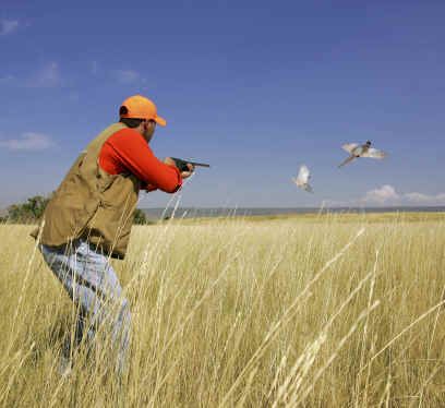 Bird Hunting local