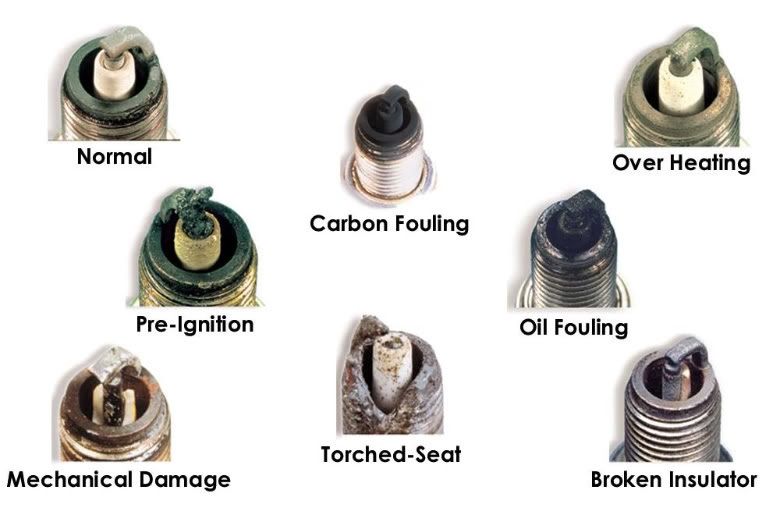 Spark Plug locally