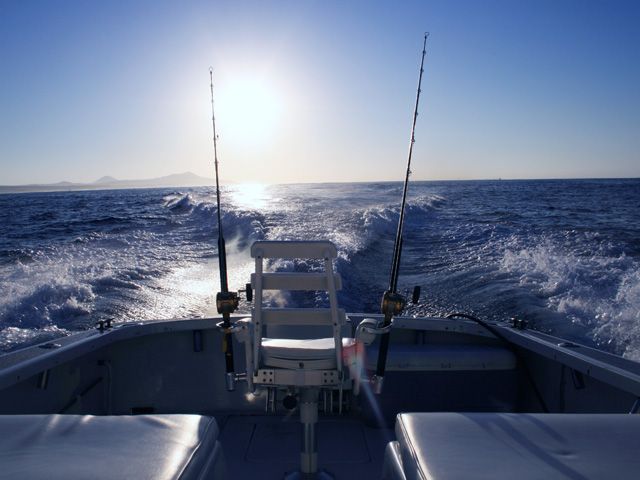 FISHING CHARTER MARYLAND fishing charter maryland: