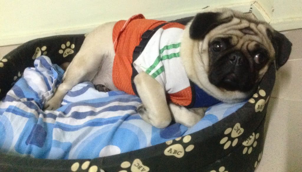 Sale Off bự cuối năm BVL AQUA