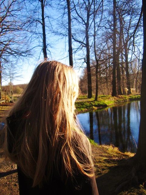 Bild