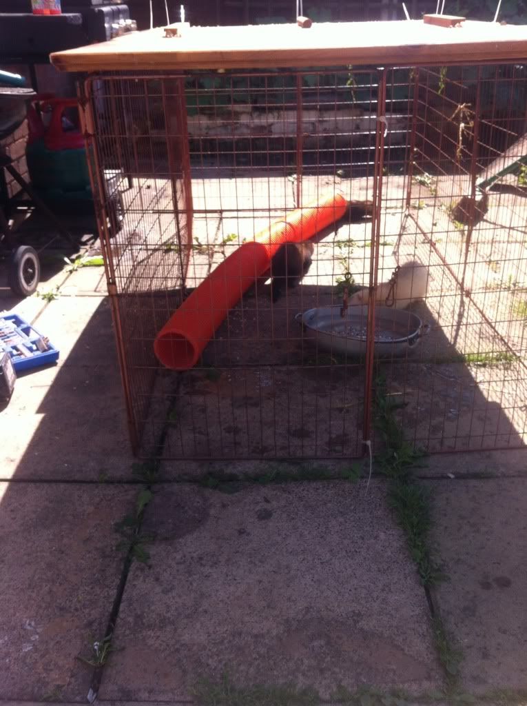 A77EE350-52A6-497A-B99B-F7F36766642F-615